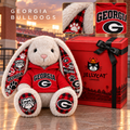 GGBD Premium Bunny Plush Toy TNSM